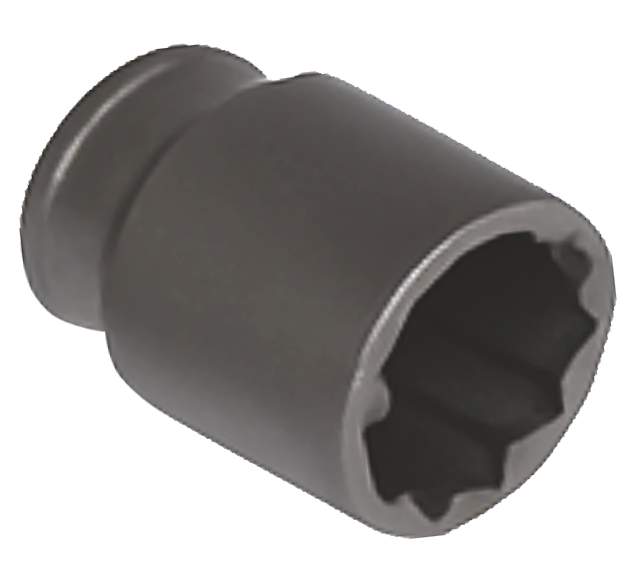 Bi Hex Socket
